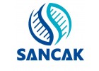 Sancak